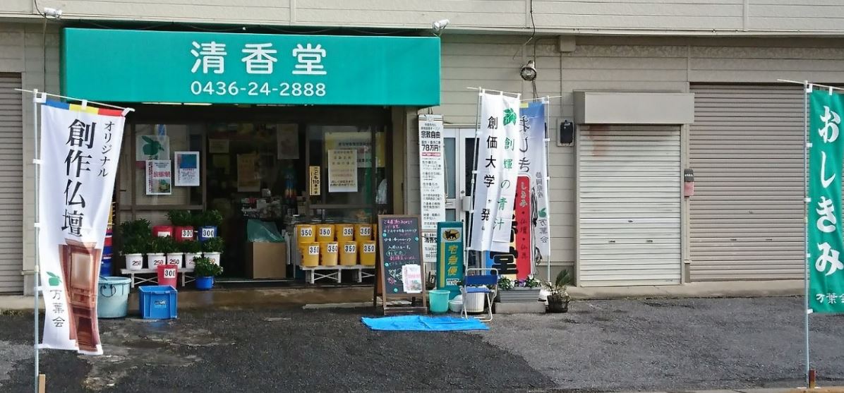 X̉摜